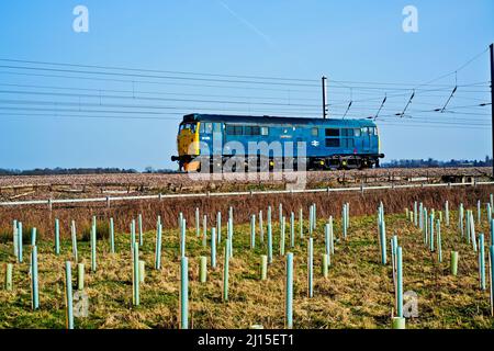 Classe 31 Charbdis approchant du pont Skelton, York, Angleterre Banque D'Images