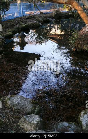 iida, nagano, japon, 2022/03/03 , petit étang près de la porte de Suijin, au sanctuaire de Hakusan, avec les animaux du zodiaque magnifiquement sculptés. Cette porte est wh Banque D'Images