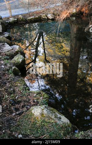 iida, nagano, japon, 2022/03/03 , petit étang près de la porte de Suijin, au sanctuaire de Hakusan, avec les animaux du zodiaque magnifiquement sculptés. Cette porte est wh Banque D'Images