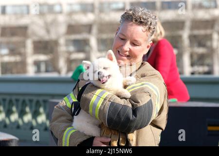 Londres, Royaume-Uni. Une pompier en uniforme câlin un chiot après un service commémoratif d'attaque terroriste. Banque D'Images