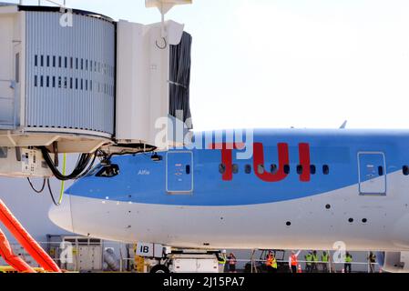 Melbourne. Comté de Brevard. Floride. ÉTATS-UNIS. 22 mars 2022. En provenance de Manchester, Angleterre le premier vol transatlantique du Royaume-Uni à bord d'un avion TUI arrive à l'aéroport international d'Orlando de Melbourne. Des travaux de construction importants sont en cours à l'aéroport de Melbourne pour gérer 16 vols par semaine pendant la saison estivale arrivant sur Boeing 787 Dreamliner. 200 touristes et membres d'équipage sont arrivés sur ce vol inaugural, certains séjournant dans la région et d'autres se sont intéressés aux attractions de la région. Crédit photo : Julian Leek/Alay Live News Banque D'Images