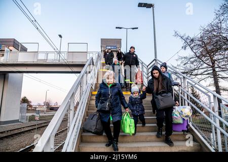 Radymno, Pologne. 13th mars 2022. Des réfugiés ukrainiens vus à la station de Radymno à Radymno, en Pologne, après être arrivés de la frontière entre l'Ukraine et la Pologne. Depuis le début de la guerre, plus de 3 millions de personnes ont fui le pays. Crédit : SOPA Images Limited/Alamy Live News Banque D'Images