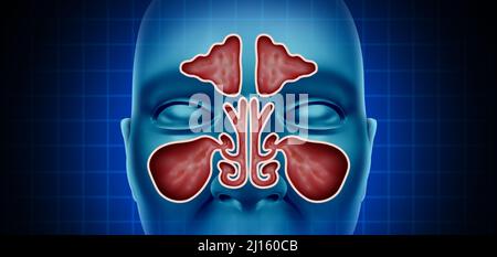 Santé sinus cavité nasale avec une vue frontale d'un nez comme un concept médical dans un style d'illustration 3D. Banque D'Images