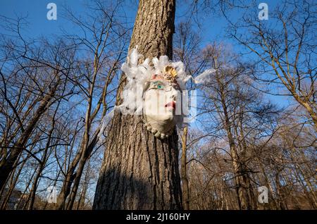 Munich, Allemagne. 22nd mars 2022. Près de la rivière Isar, des inconnus ont modelé un visage sur un arbre à une hauteur élevée, en regardant dans la région. Credit: Peter Kneffel/dpa/Alay Live News Banque D'Images