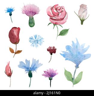 Collection de fleurs et de feuilles roses et bleues aquarelles sur fond blanc Banque D'Images