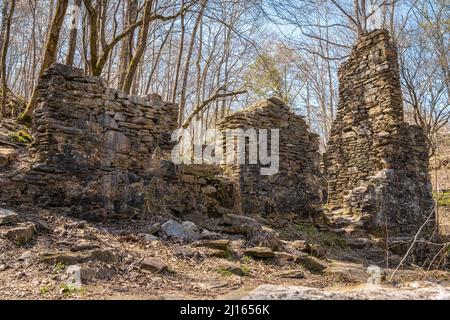 Ruines du moulin à papier de Sope Creek dans l'unité des Shoals de Cochran de l'aire de loisirs nationale de la rivière Chattahoochee, près d'Atlanta, à Marietta, en Géorgie. (ÉTATS-UNIS) Banque D'Images