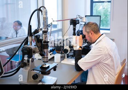 25 février 2022, Saxe, Glashütte: Lutz Reichel, horloger, est assis à un microscope dans la fabrique de montres Nomos. Avec la protection des marques pour les montres de Glashütte, une nouvelle ère est à l'aube pour le total de dix manufactures. Photo: Sebastian Kahnert/dpa-Zentralbild/dpa Banque D'Images