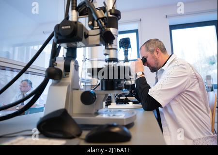 25 février 2022, Saxe, Glashütte: Lutz Reichel, horloger, est assis à un microscope dans la fabrique de montres Nomos. Avec la protection des marques pour les montres de Glashütte, une nouvelle ère est à l'aube pour le total de dix manufactures. Photo: Sebastian Kahnert/dpa-Zentralbild/dpa Banque D'Images