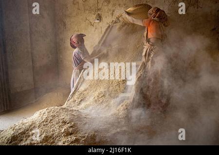 Narayanganj, Dhaka, Bangladesh. 23rd mars 2022. Les travailleuses sont en train de traiter du blé dans une usine de Narayanganj, au Bangladesh. Comme le blé est la deuxième culture alimentaire de base après le riz au Bangladesh, la demande est en augmentation. La production de blé au Bangladesh passe par quelques étapes de base. Au stade de la préproduction, les semences sont sélectionnées par les agriculteurs en fonction de leur rendement et de leurs variétés, puis de la récolte menant au transport et au stockage. Ensuite, le blé importé est apporté et conservé dans les entrepôts. Crédit : ZUMA Press, Inc./Alay Live News Banque D'Images