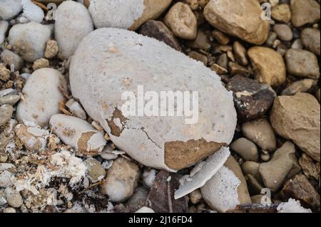 Pierres recouvertes d'une couche de sel sur la mer Morte en Israël Banque D'Images