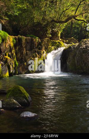 Reimei Falls, gorge de Kikuchi en hiver, préfecture de Kumamoto, Japon Banque D'Images