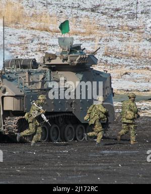 Gotemba, Japon. 23rd mars 2022. AAV(véhicule amphibie d'assaut)-7 du régiment de déploiement rapide amphibie, la Force d'autodéfense terrestre du Japon participe à un exercice militaire conjoint avec l'unité expéditionnaire maritime de 31st, Marines des États-Unis, dans la zone de manœuvre de l'est du Fuji, dans la préfecture de Shizuoka, au Japon, le mercredi 23 mars 2022. Photo par Keizo Mori/UPI crédit: UPI/Alay Live News Banque D'Images