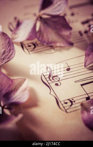 Feuille de musique avec fleurs séchées dans un style vintage Banque D'Images