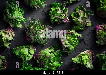 Kalette, choux de kale ou choux de fleur sur fond noir. Plante hybride, croisement entre kale et choux de Bruxelles. Banque D'Images
