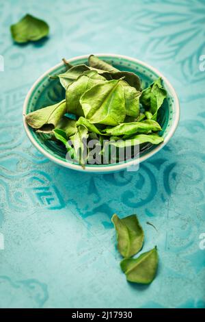 Agrumes hystrix - feuilles de citron vert Kaffir - feuilles séchées utilisées dans les cuisines asiatiques et la médecine traditionnelle Banque D'Images