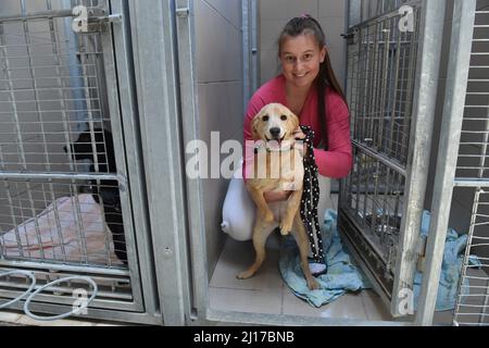 Brno, République tchèque. 23rd mars 2022. Refuge de police pour chiens et chats Brno est en mesure de prendre en charge gratuitement 30 chiens et chats de réfugiés d'Ukraine à Brno, République tchèque, le 23 mars 2022. Crédit: Vaclav Salek/CTK photo/Alay Live News Banque D'Images