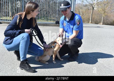 Brno, République tchèque. 23rd mars 2022. Refuge de police pour chiens et chats Brno est en mesure de prendre en charge gratuitement 30 chiens et chats de réfugiés d'Ukraine à Brno, République tchèque, le 23 mars 2022. Crédit: Vaclav Salek/CTK photo/Alay Live News Banque D'Images