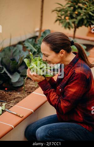 Femme souriante sentant de la laitue fraîche dans le jardin de la cour Banque D'Images