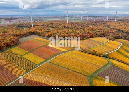 Vue de drone sur de vastes vignobles de campagne en automne avec éoliennes en arrière-plan Banque D'Images