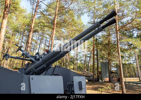 Hel, Pologne - 20 mars 2022 : canon antiaérien dans le musée militaire en plein air. Le Musée de la Défense côtière à Hel Banque D'Images