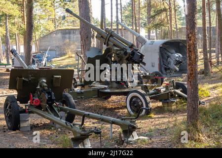 Hel, Pologne - 20 mars 2022 : canon antiaérien dans le musée militaire en plein air. Le Musée de la Défense côtière à Hel Banque D'Images