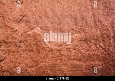 Un pétroglyphe d'art rupestre sculpté dans un mur de grès dans une ruine ancestrale de Puebloan à Mule Canyon sur Cedar Mesa dans l'unité JAA de Shash des oreilles ours Banque D'Images