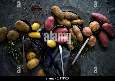 Studio de différentes louches et différentes variétés de pommes de terre crues Banque D'Images