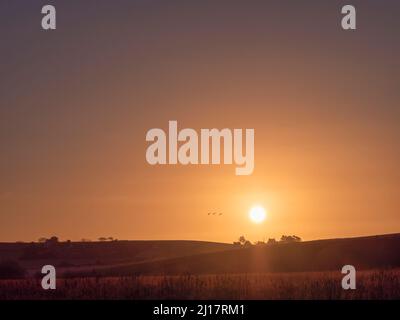 Coucher de soleil sur les collines de la campagne Banque D'Images