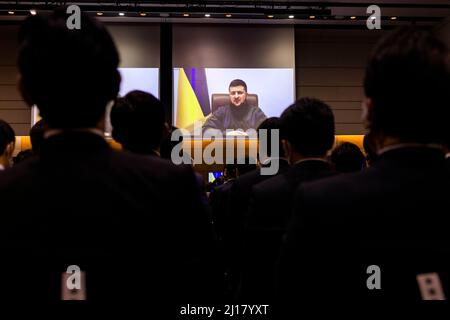 Tokyo, Japon. 23rd mars 2022. Le président ukrainien Volodymyr Zelensky s'adresse aux législateurs de la chambre basse du Japon par le biais d'une liaison vidéo dans le bâtiment de la Chambre des représentants à Tokyo. Crédit : SOPA Images Limited/Alamy Live News Banque D'Images