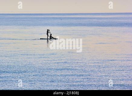 silhouette de couple sur la palette Banque D'Images