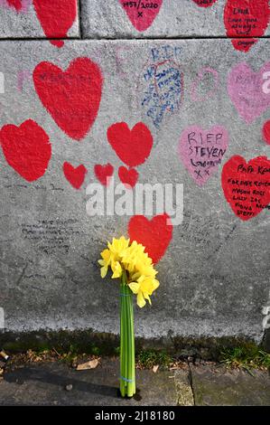 Londres, Royaume-Uni. Une journée de réflexion a eu lieu au mur commémoratif national de Covid à l'occasion du deuxième anniversaire du premier confinement. L'événement a été organisé par Covid19 familles uk, le seul réseau national de groupes de soutien à travers le Royaume-Uni pour ceux qui ont été endeuillés pendant la pandémie. Crédit : michael melia/Alay Live News Banque D'Images