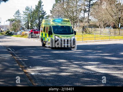 Truro, Royaume-Uni, 23rd mars 2021, des ambulances attendent devant A & E à l'hôpital Royal Cornwall de Treliske, Truro. Les patients doivent attendre leur tour, ce qui peut être de nombreuses heures pour être pris dans A&E pour être vu. Cela est dû à une augmentation du nombre de patients Covid 19. Les visiteurs de l'hôpital ont été arrêtés et toute personne assistant à un rendez-vous ambulasser doit montrer un test de débit latéral négatif pris ce matin.Credit: Keith Larby/Alay Live News Banque D'Images
