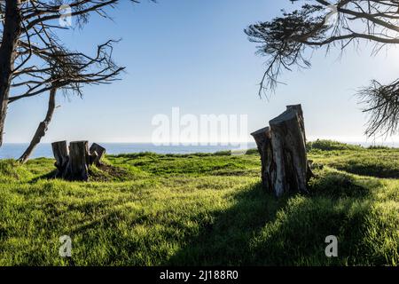 san franisco, californie, états-unis Banque D'Images