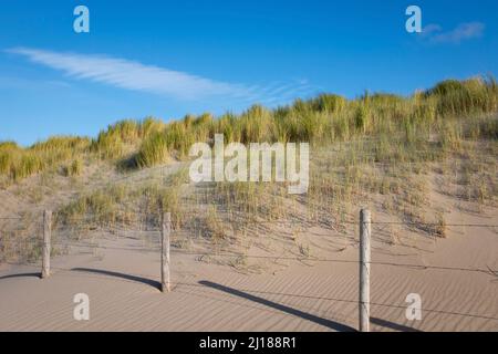 Dune avec de l'herbe à la plage de la mer du Nord derrière une clôture barbelée contre le ciel bleu avec des nuages Banque D'Images