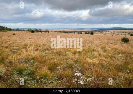 Vue panoramique de la réserve naturelle High Fens en Belgique contre ciel nuageux Banque D'Images