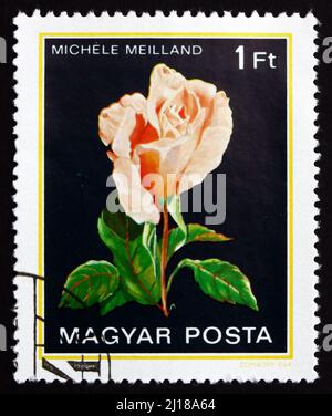 HONGRIE - VERS 1982 : un timbre imprimé en Hongrie montre Michele Meilland, Rose Flower, vers 1982 Banque D'Images