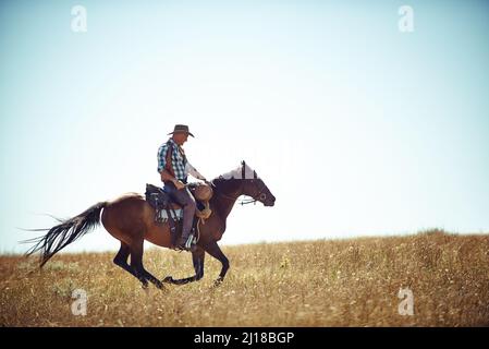 Galopant avec liberté. Photo d'action d'un homme à cheval dans un champ. Banque D'Images