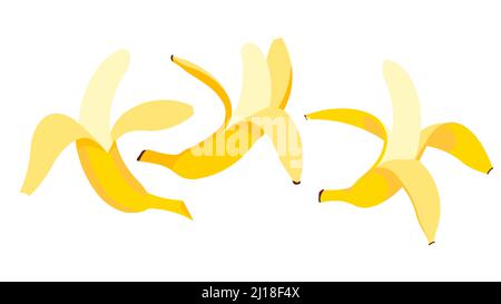 Bananes - banane entière, banane pelée, banane prête à manger. Ensemble de fruits sur fond blanc. Illustration moderne, groupe d'objets. Illustration de Vecteur
