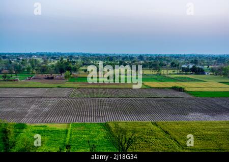 Vue Arial du paysage agricole dans la campagne du Punjab Banque D'Images