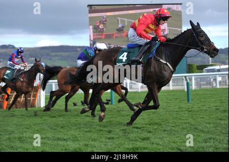 Paddy Power Stayers hurdle Day no 4 Klassical Dream criblé par Paul Townend sur la montée de la colline jour trois à Cheltenham Racecourse Gold Cup Fes Banque D'Images