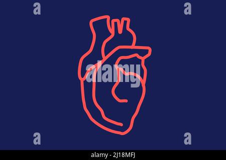 Illustration d'organe cardiaque. Icône de couleur de dessin au trait de l'anatomie du cœur humain. Santé et médecine. Banque D'Images