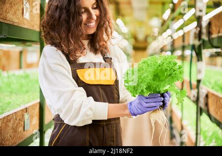 Jardinière féminine tenant la laitue sur fond flou. Vue courte de la jeune femme dans des gants de jardin en caoutchouc avec une plante verte dans les mains, souriant en étant debout en serre. Banque D'Images