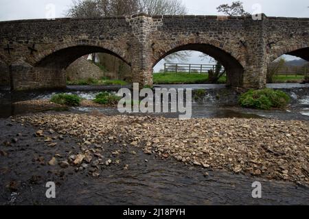 CULMSTOCK, Royaume-Uni - 21 MARS 2021 Culmstock Bridge grade II, bâtiment classé au-dessus de la ccule de la rivière à Culmstock, Devon Banque D'Images