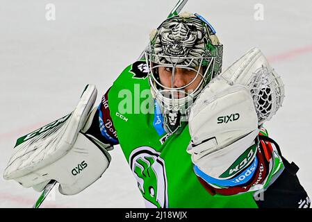 Mlada Boleslav, République tchèque. 23rd mars 2022. Ctvrtfinale jouer hors hokejove extraligy - 3. Zapas: BK Mlada Boleslav - Mountfield Hradec Kralove, 23. Brezna 2022 v Mlade Boleslavi. Brankar Boleslavi Gasper Kroselj. Banque D'Images
