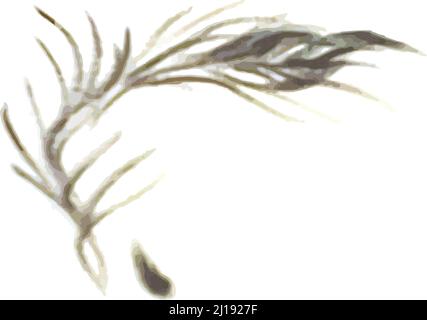 Croquis de plumes grises sur fond blanc pour vos idées créatives. Plumes de paon torsadé pour textiles et tissus, logos, emblèmes, mode, imprimé, etc Banque D'Images