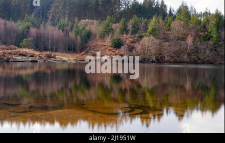 Llyn Elsi Banque D'Images