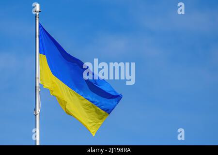 Un drapeau ukrainien vole dans une douce brise par temps ensoleillé. Ciel bleu derrière avec un nuage fin. Banque D'Images