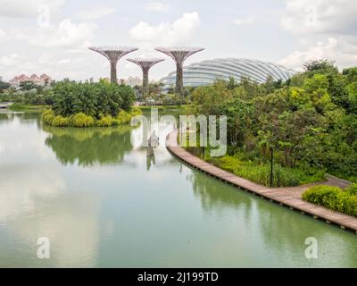 Lac Dragonfly dans les jardins au bord du lac - Singapour Banque D'Images