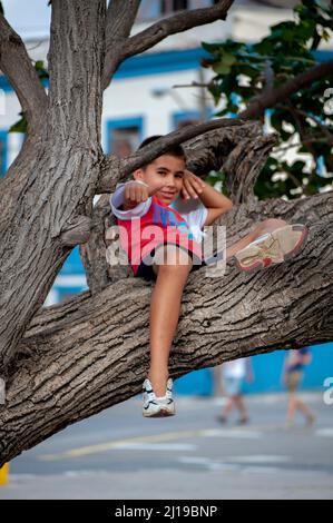 Un jeune garçon cubain donne le signe du pouce vers le haut tout en étant assis sur un arbre dans un parc à la Havane, Cuba. Banque D'Images