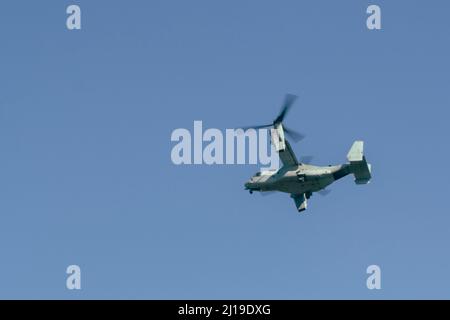 Un V-22 Osprey, avec le régiment de déploiement rapide amphibie 1st du Japon (1ARDR), survole lors d’exercices bilatéraux de manœuvres de combat menés au Centre d’entraînement aux armes combinées (CATC) Camp Fuji (Japon), le 15 mars 2022. Exercice de défense maritime la Brigade de déploiement rapide amphibie est un exercice bilatéral visant à accroître l'interopérabilité et à renforcer les liens entre les forces américaines et japonaises pour la défense du Japon. (É.-U. Photo du corps marin par lance Cpl. Christopher W. Angleterre) Banque D'Images